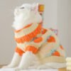 Cat Clothes For Fall Kittens To Prevent Shedding